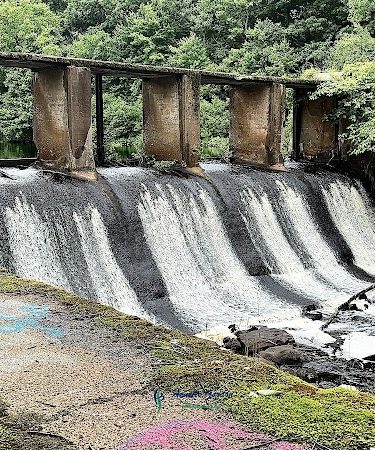 Endean Trail
