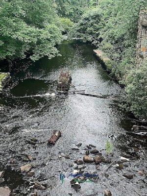 Endean Trail