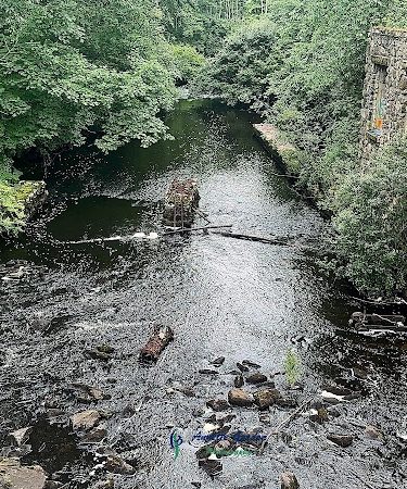 Endean Trail