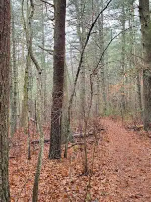 Jarvis Farm