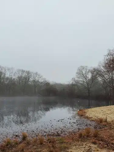Jarvis Farm