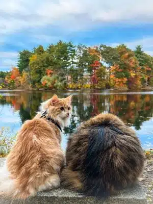 Turner Pond
