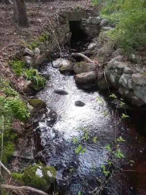 Turner Pond