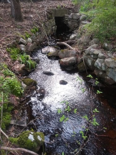 Turner Pond