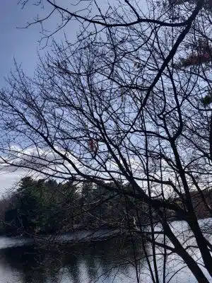 Turner Pond