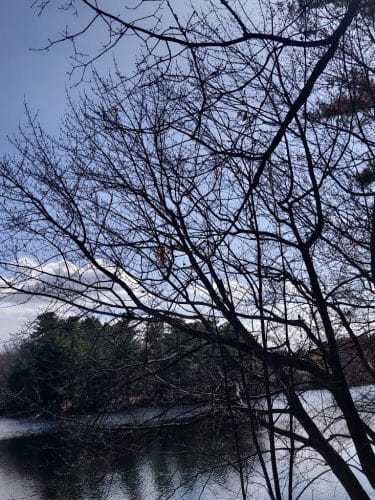 Turner Pond