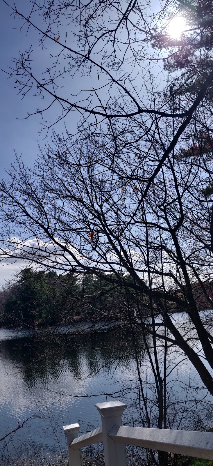 Turner Pond - Walpole, MA