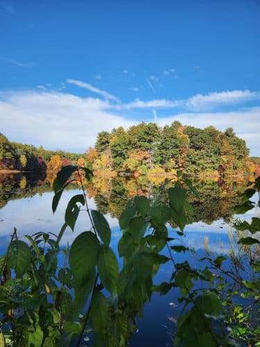 Turner Pond