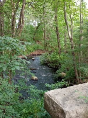 Walpole Town Forest Entrances