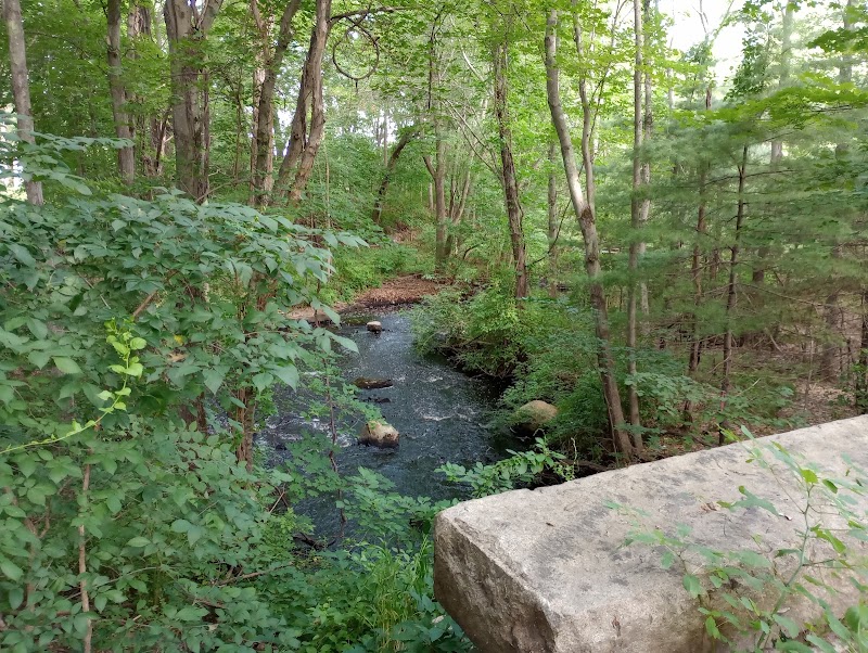 Walpole Town Forest Entrances - Walpole, MA