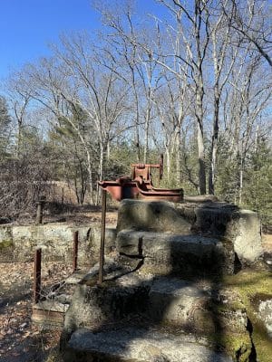 Walpole Town Forest Entrances