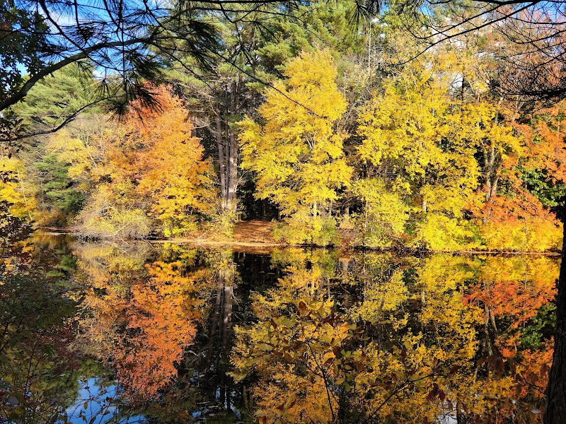Walpole Town Forest Entrances - Walpole, MA
