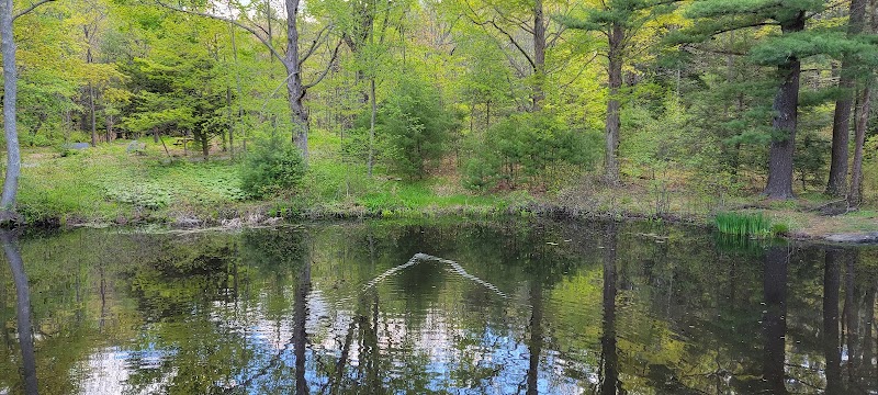 Walpole Town Forest Entrances - Walpole, MA
