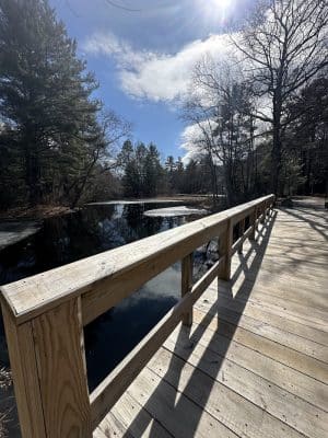 Walpole Trails
