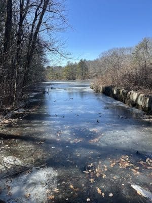 Walpole Trails