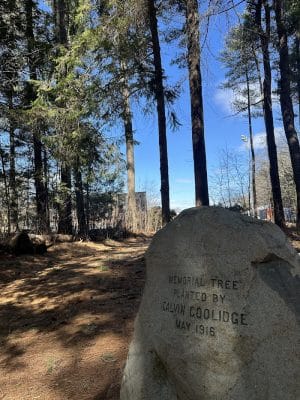 Walpole Trails