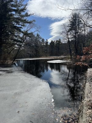 Walpole Trails