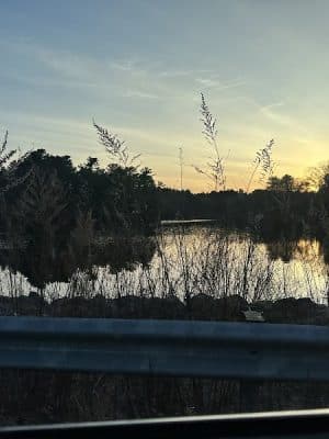 Walpole Trails