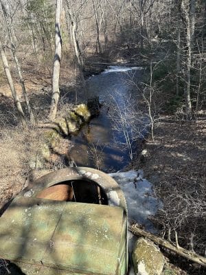 Walpole Trails