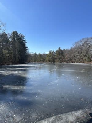 Walpole Trails