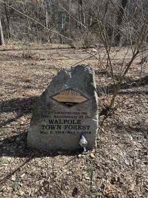 Walpole Trails