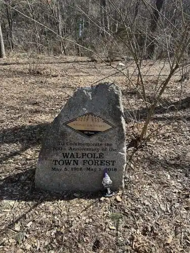 Walpole Trails - Walpole, MA