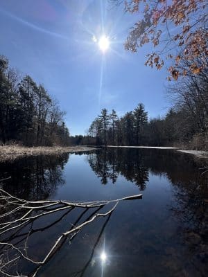 Walpole Trails