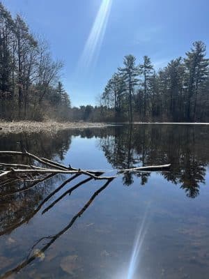 Walpole Trails