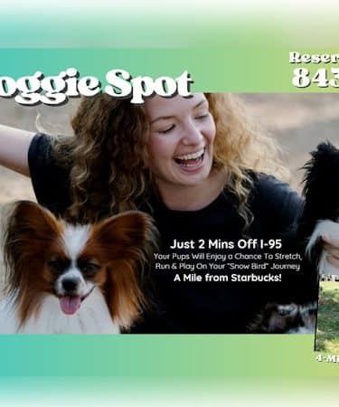 Dawn's Doggie Spot
