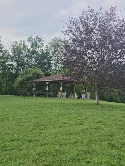 Wantage Dog Park - Wantage, NJ