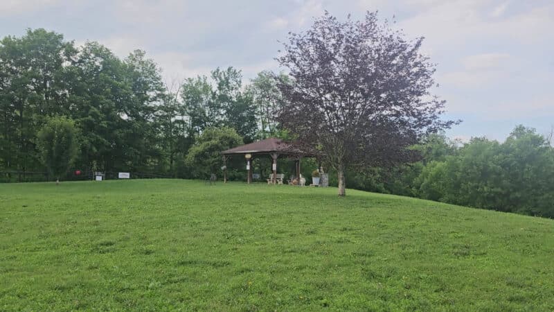 Wantage Dog Park - Wantage, NJ