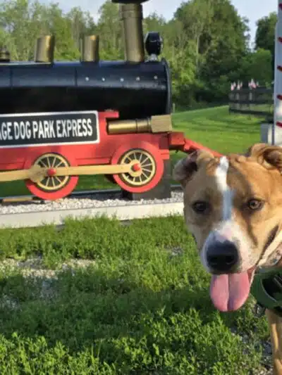 Wantage Dog Park - Wantage, NJ