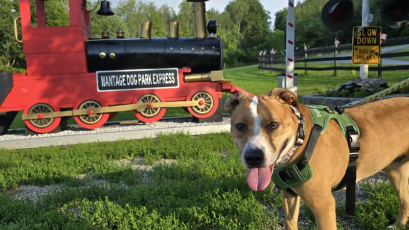 Wantage Dog Park - Wantage, NJ