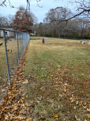Ward Dog Park