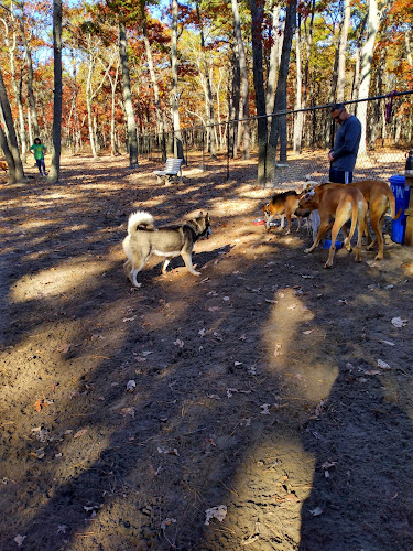 Waretown dog park