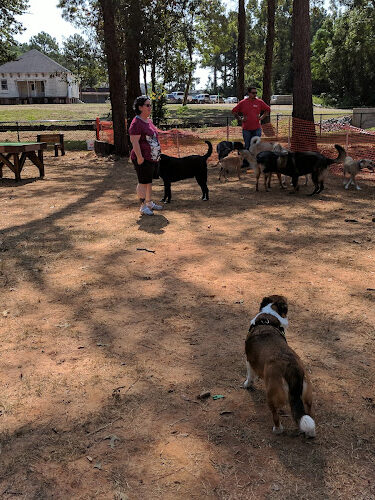 Wellston Park1