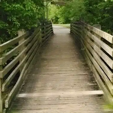Wellston Trail Greenway - Warner Robins, GA