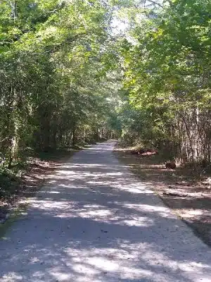 Wellston Trail Greenway