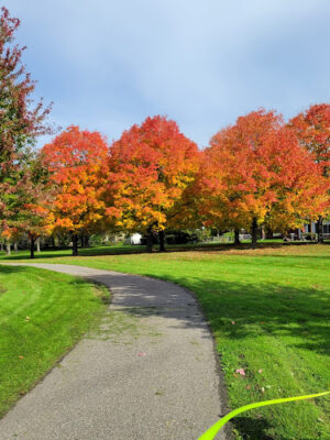 City of Warren Halmich Park