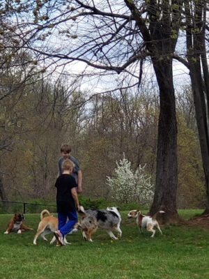 East County Park