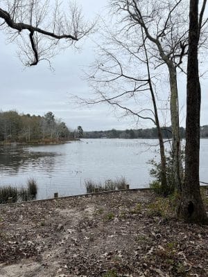 Langley Pond Park