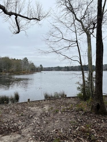 Langley Pond Park