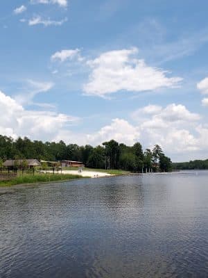 Langley Pond Park