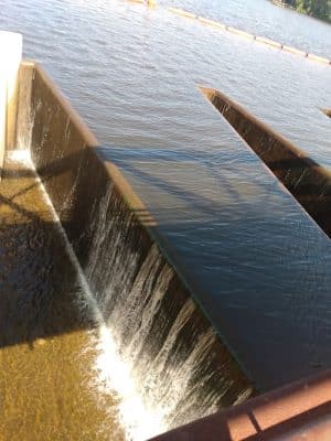 Langley Pond Park