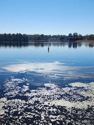 Langley Pond Park