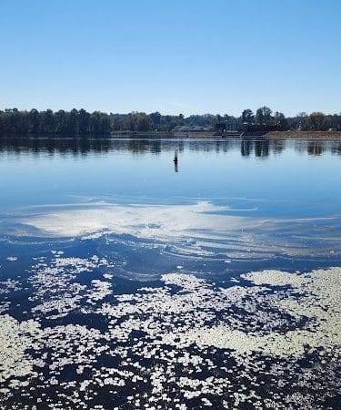 Langley Pond Park