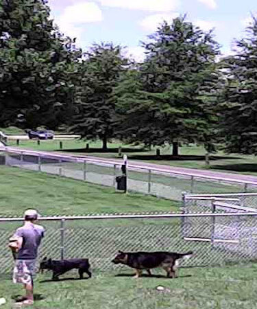 Wartrace Dog Park