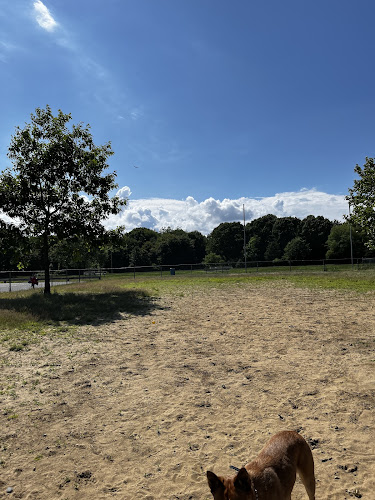 Warwick City Dog Park
