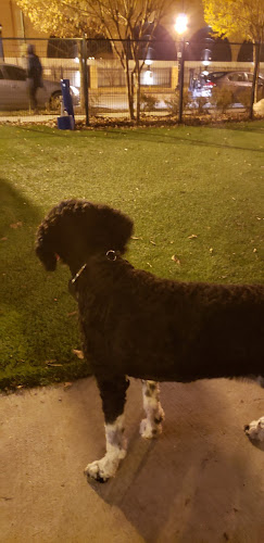 Dog park