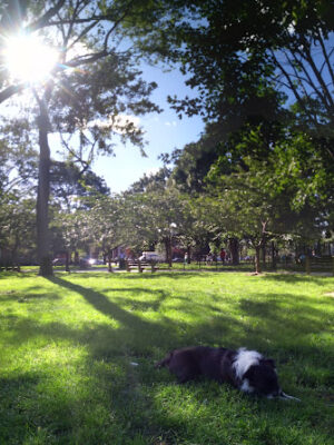 Stanton Park